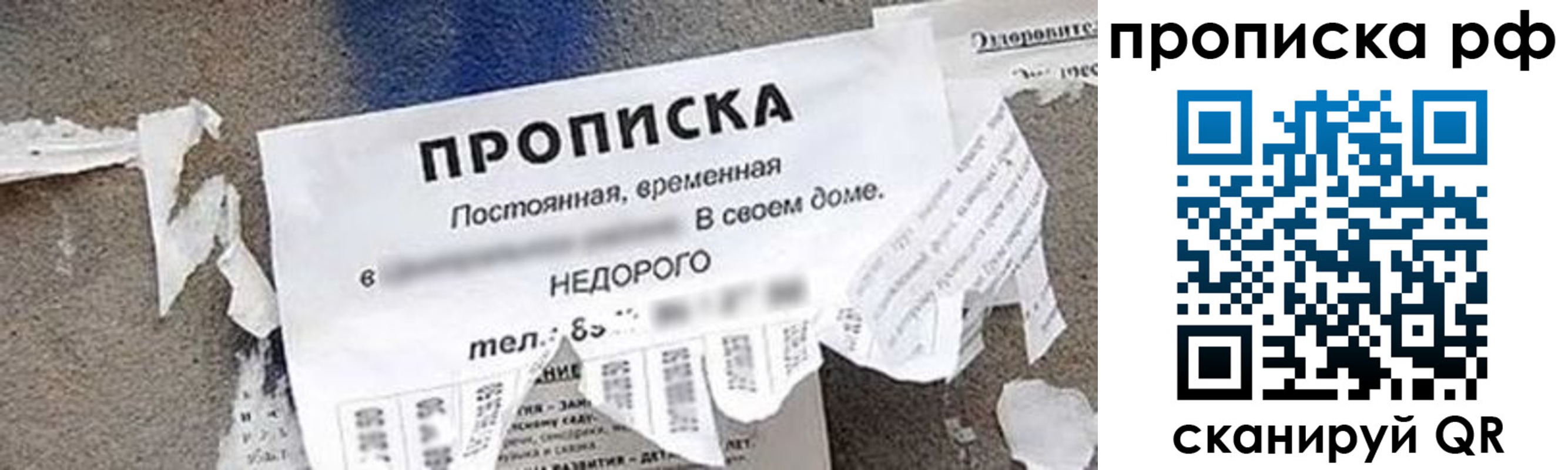 где прописаться в Владикавказе